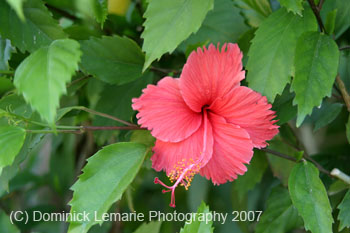 Belize-2007-3662