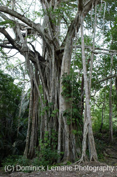 Belize-2007-3774