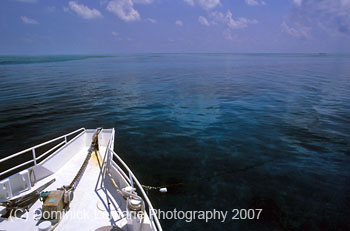 Belize-2007-4003