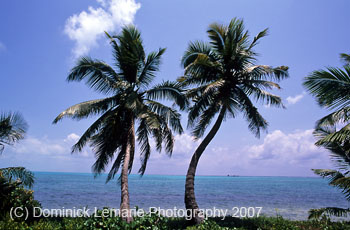 Belize-2007-4021