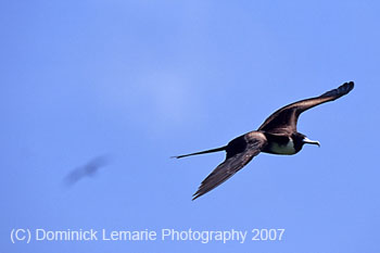 Belize-2007-4036