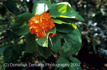 Belize-2007-4057