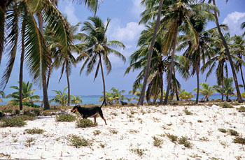 Belize-2007-4062
