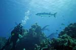 Belize-2007-2723