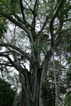 Belize-2007-3775