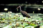 Belize-2007-4103