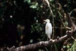 Belize-2007-4111