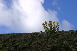 040805-0050