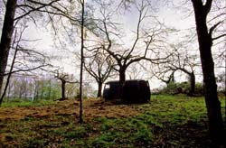 11-15